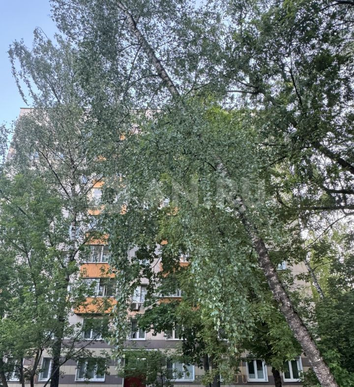 Превью